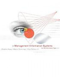 Management information systems for the information age