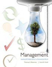 Management : leading & collaborating in a competitive world