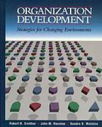 Organisational development : strategies for changing environments