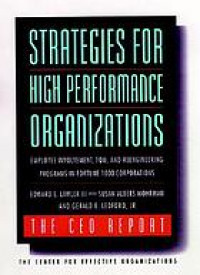 Strategies for high performance organizations