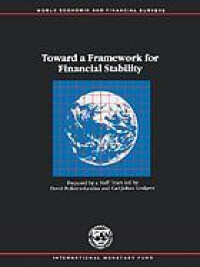 Toward a framework for financial stability